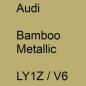 Preview: Audi, Bamboo Metallic, LY1Z / V6.